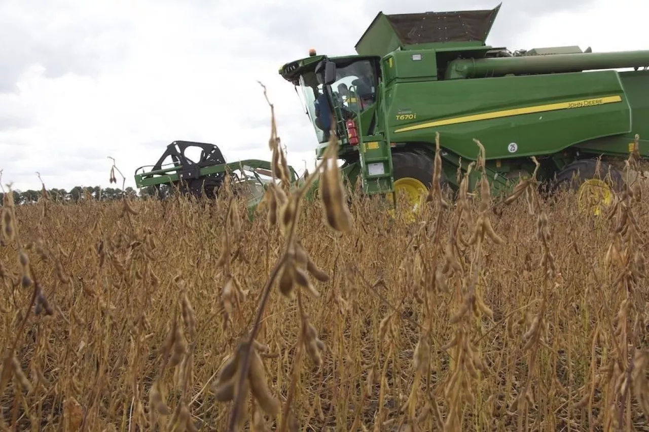 Zbiór soi kombajnem