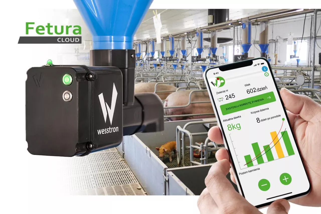 Fetura CLOUD- Jak zwiększyć opłacalność fermy trzody? Gdzie uciekają pieniądze w produkcji?