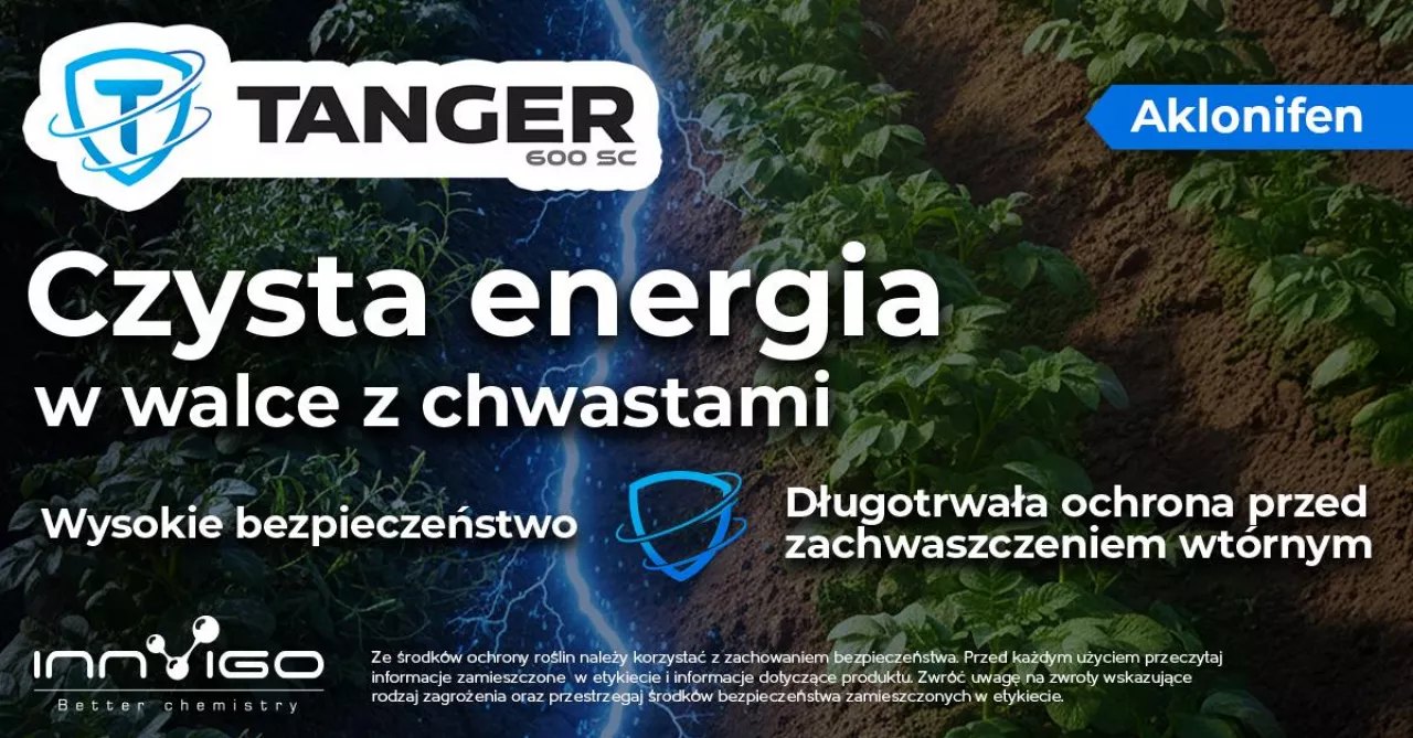 Tanger 600 SC – odpowiedź na zmiany w ochronie ziemniaka po wycofaniu metrybuzyny