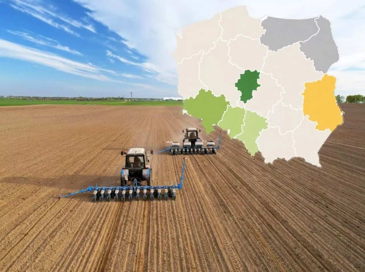 Siew kukurydzy 2026 ruszył w Polsce. Gdzie już sieją, a gdzie rolnicy jeszcze czekają?