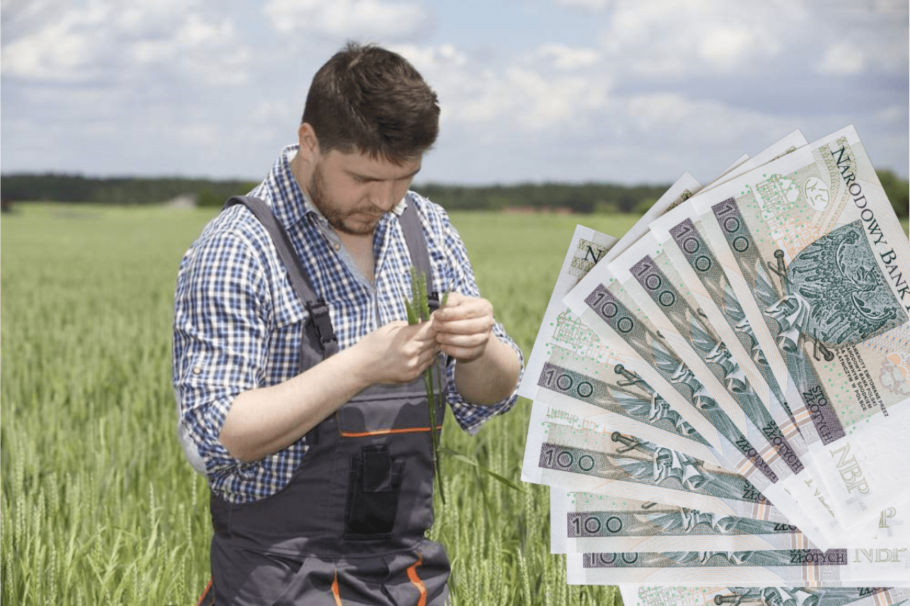 młody rolnik na polu, z prawej polskie banknoty