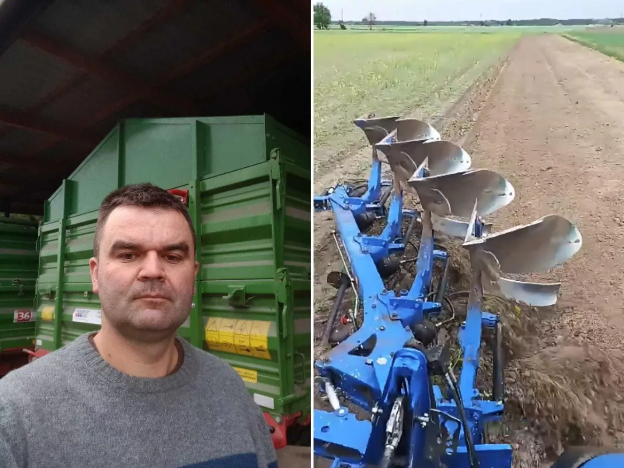 Rzepak do zaorania, kukurydza wydziobana