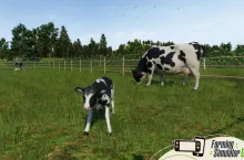 edna z najbardziej rozczulających nowości Farming Simulator 26 w pełnej krasie. Krowa mleczna rasy holsztyńsko-fryzyjskiej pasie się obok cielęcia, a w grze pojawiły się wreszcie pełne cykle hodowlane ze zwierzęcymi młodymi.