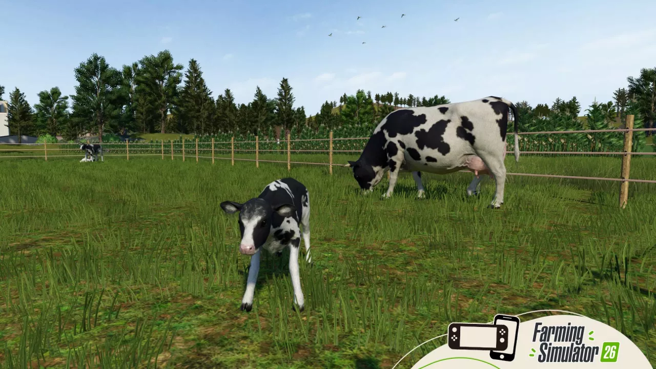edna z najbardziej rozczulających nowości Farming Simulator 26 w pełnej krasie. Krowa mleczna rasy holsztyńsko-fryzyjskiej pasie się obok cielęcia, a w grze pojawiły się wreszcie pełne cykle hodowlane ze zwierzęcymi młodymi.