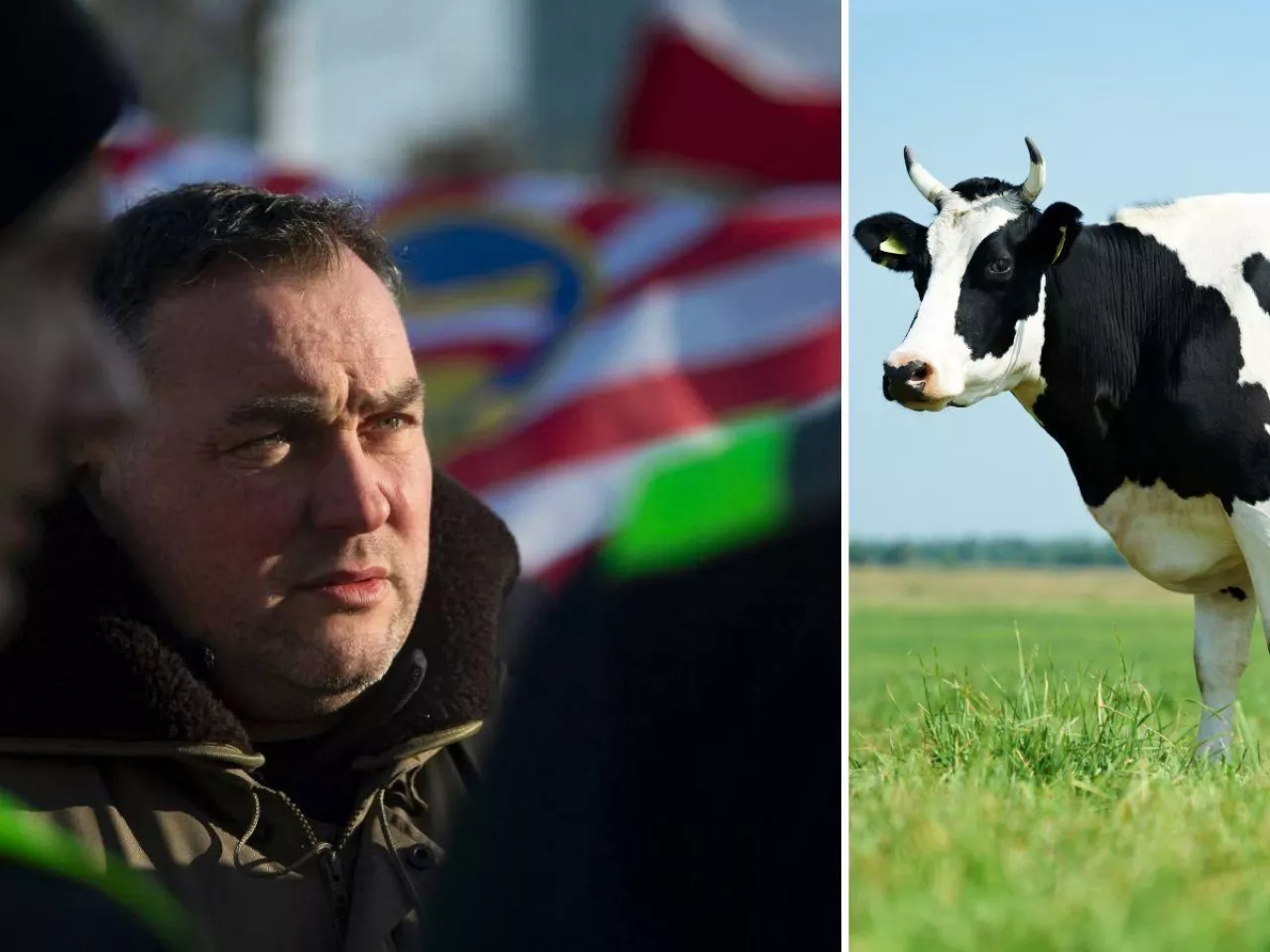 Krzysztof Paniczko o sytuacji w rolnictwie