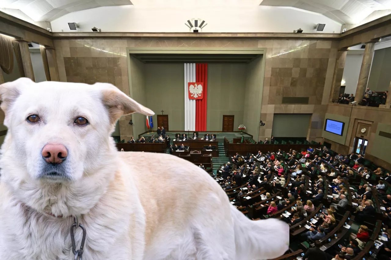 Za ustawą głosowało 381 parlamentarzystów, przeciw było 28, a 5 osób wstrzymało się od głosu