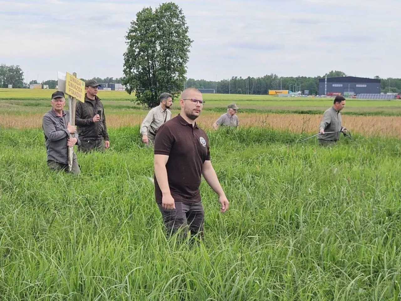 Drony nad łąkami. Rolnicy i myśliwi ratują sarenki przed kosiarkami 
