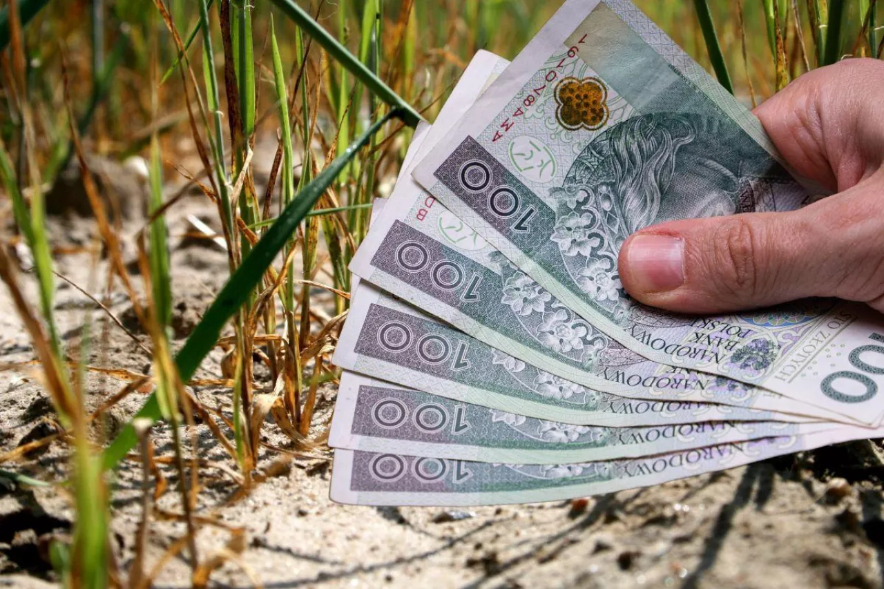 pomos suszowa aplikacja i komisje suszowe