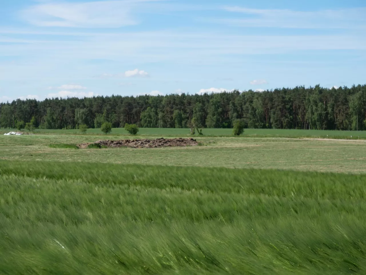 ziemia rolna, pole, gospodarstwo, jęczmień