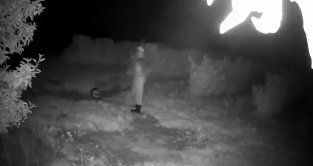 Nocna kradzież nie doszło do skutku