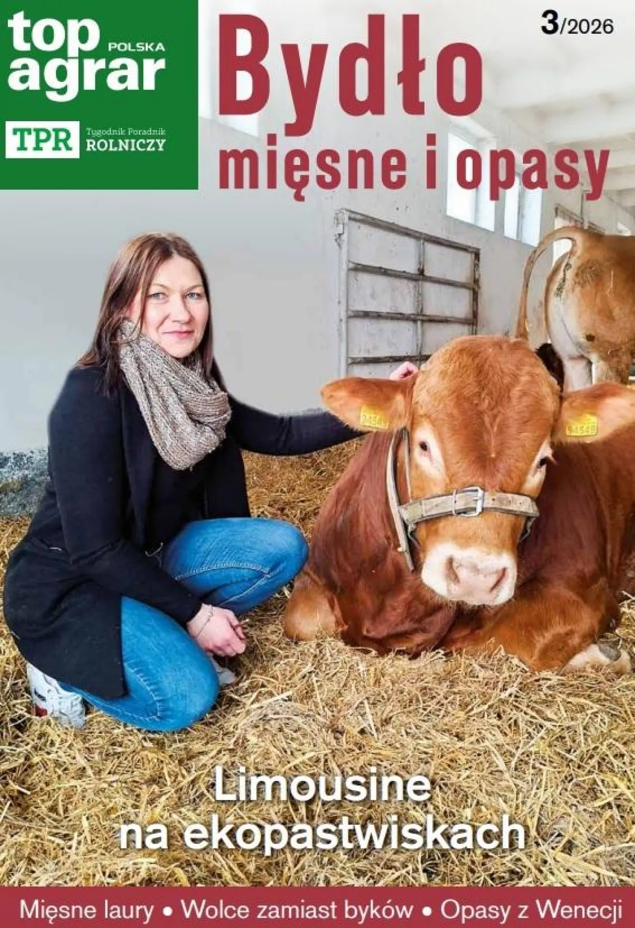 Okładka opasy