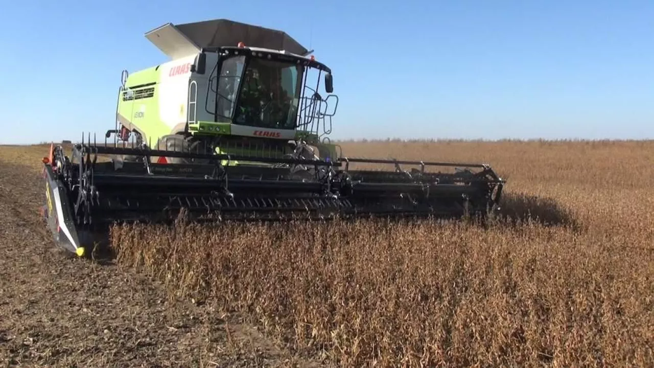 kombajn zbożowy marki Claas na polu podczas żniw