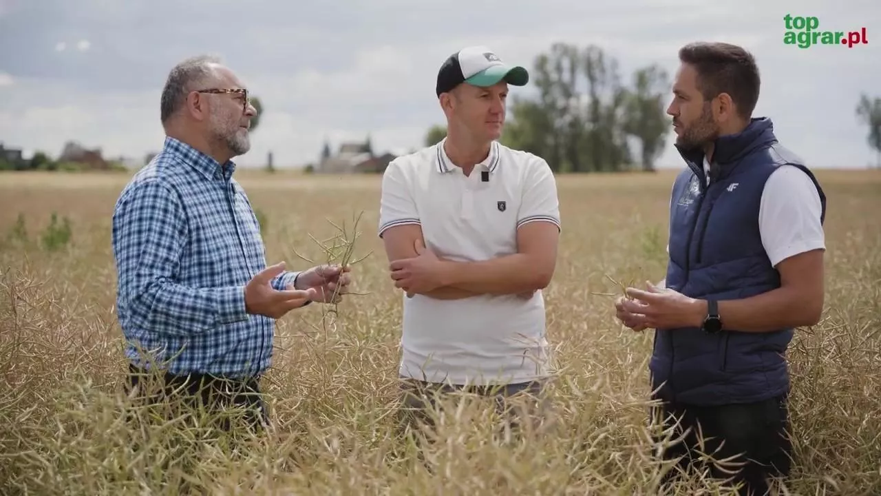 ”Ziemi nie da się oszukać”. Rolnik z Kujaw przeszedł na strip-till i ograniczył liczbę przejazdów po polu