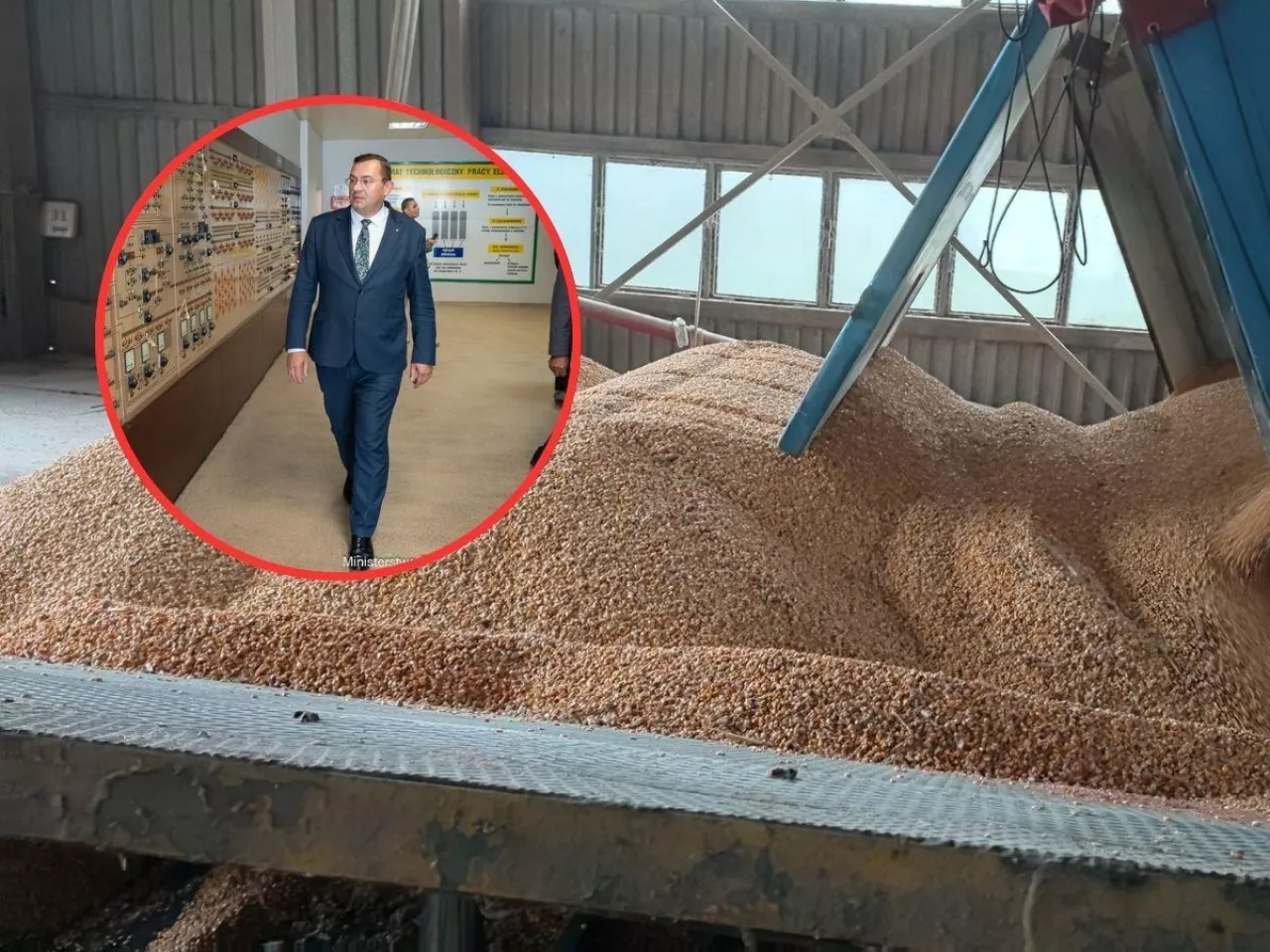 Elewaar, minister Krajewski