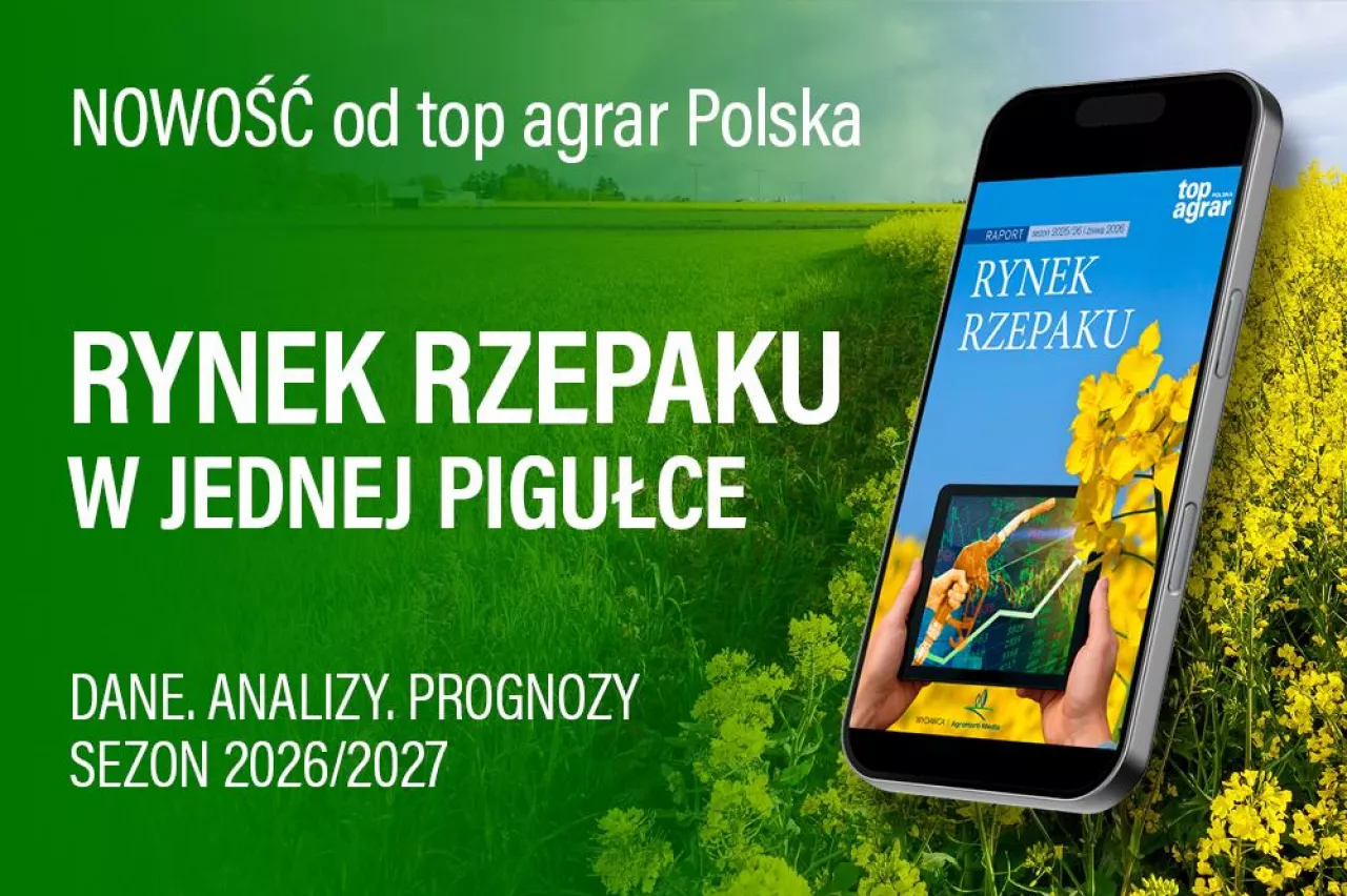 Rynek rzepaku w jednym raporcie. Ceny, bilanse i prognoza na 2026/27