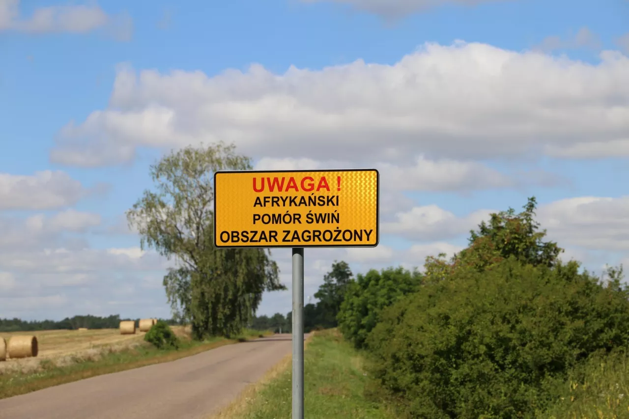 Tablica informująca o obszarze zagrożonym ASF koło drogi gminnej