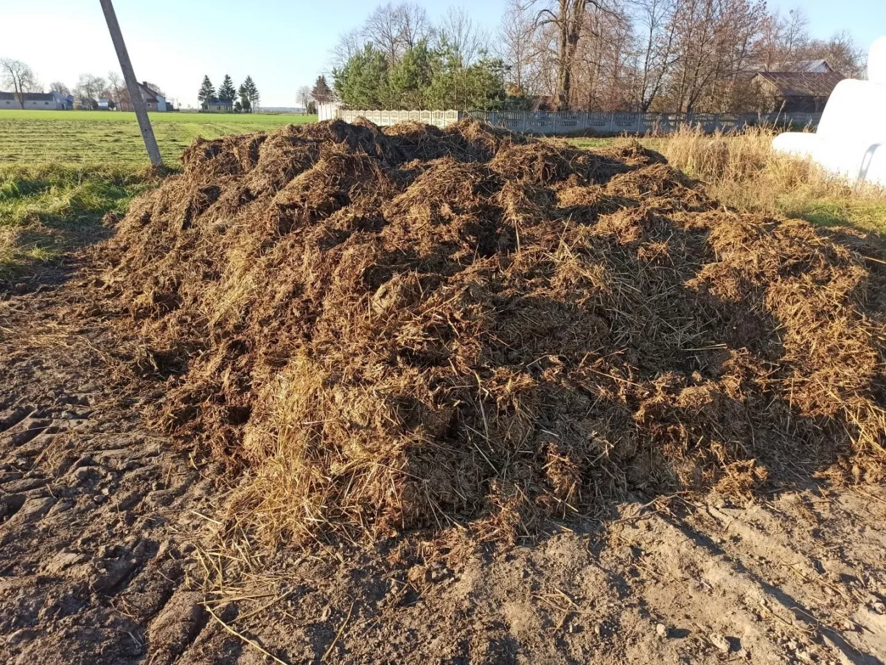 obornik, przechowywanie obornika