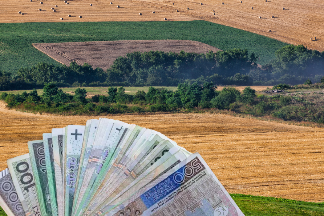 20 proc. rolników dostało już zaliczki dopłat. Ile ARiMR płaci za hektar?