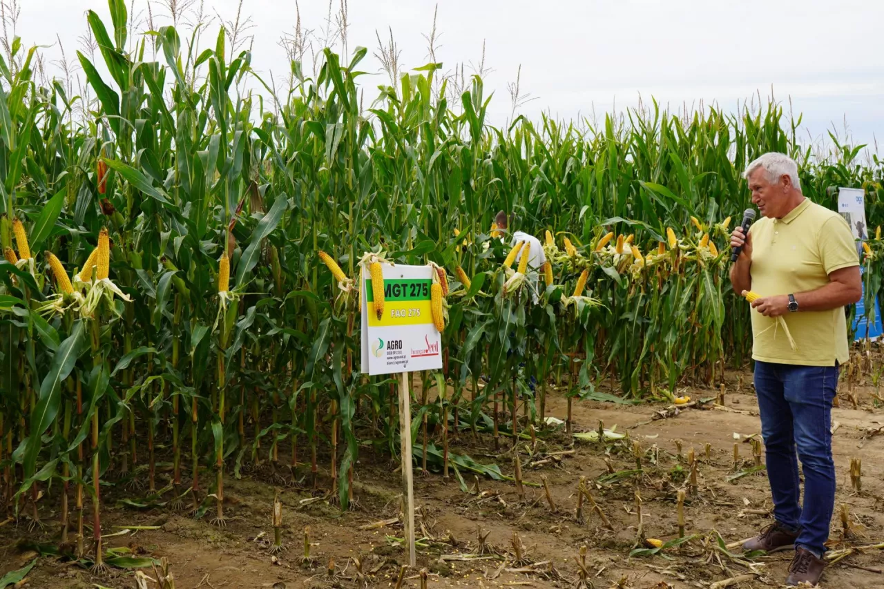 Jerzy Malec, prezes firmy Agro Seed, która jest wyłącznym przedstawicielem węgierskiego hodowcy HungaroSeed