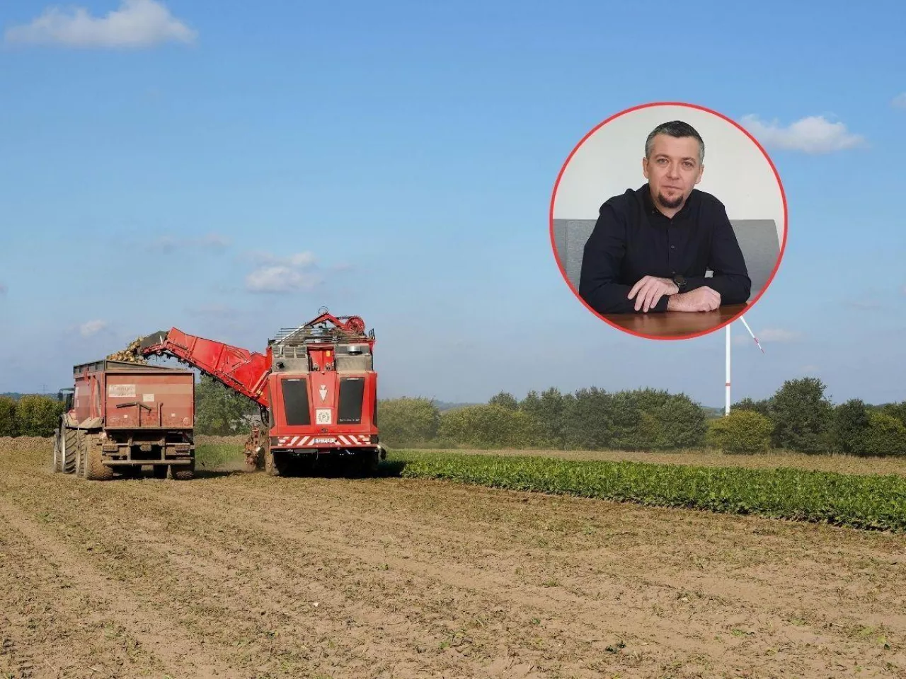 Rafał Strachota o rynku cukru i buraków cukrowych w Polsce
