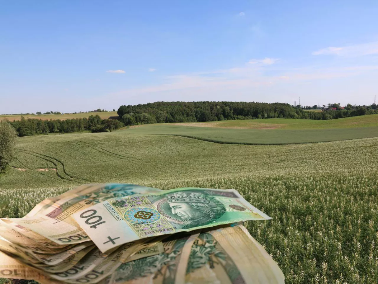 pole, polskie banknoty